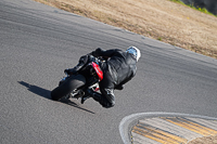 anglesey-no-limits-trackday;anglesey-photographs;anglesey-trackday-photographs;enduro-digital-images;event-digital-images;eventdigitalimages;no-limits-trackdays;peter-wileman-photography;racing-digital-images;trac-mon;trackday-digital-images;trackday-photos;ty-croes